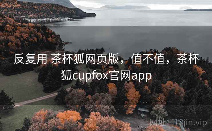 反复用 茶杯狐网页版,值不值,茶杯狐cupfox官网app