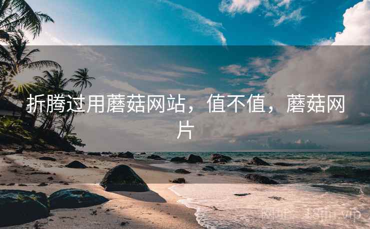 折腾过用蘑菇网站,值不值,蘑菇网片