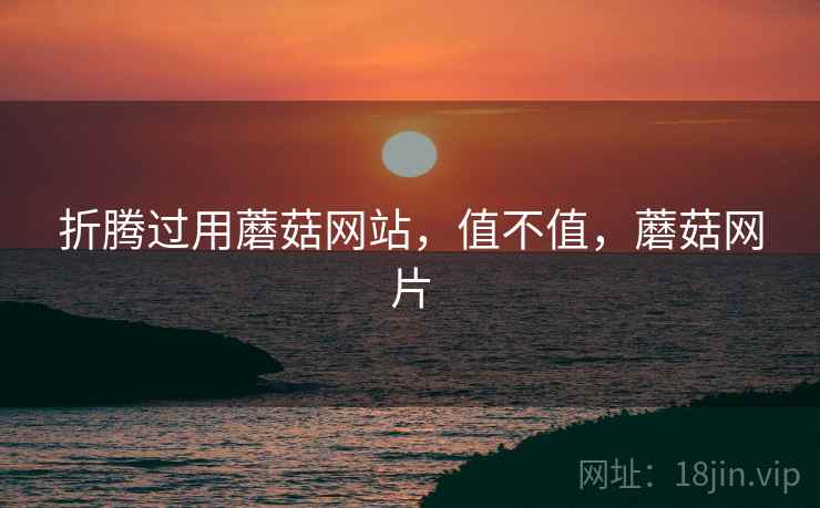 折腾过用蘑菇网站,值不值,蘑菇网片 第2张 折腾过用蘑菇网站,值不值,蘑菇网片 第2张
